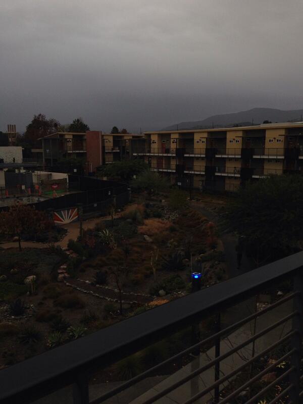 KurtleduhTurtle's tweet photo. Who knew California could be so sunny! http://t.co/BqZ5y04ssT