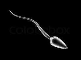 jethaleria's tweet image. Throwback =))))))) #Boreddd #PlayfulMind