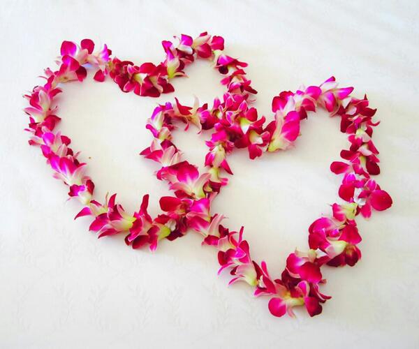 i love fiji island.its pretty and loving kind.;.family and friends and its almost christmas