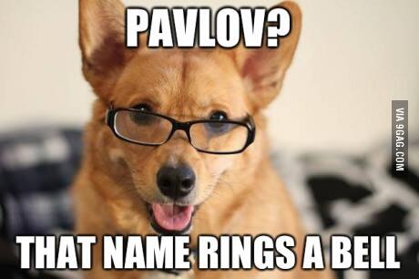 MGonz_z's tweet photo. Still makes me laugh every time I see it #Pavlov http://t.co/XTzcw8s3n4 via @9GAG http://t.co/71j7Udn6Bc