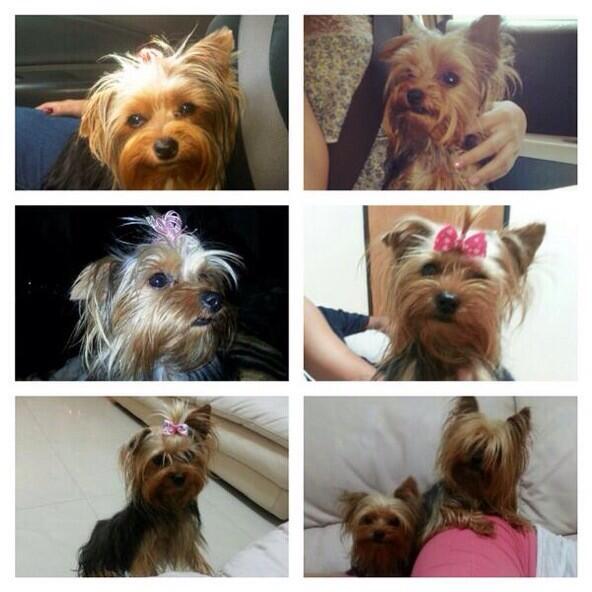 DanielaKus's tweet photo. @ShirleyVarnagy por favor ayudenme con un RT de uds para que nos regresen a Kira. Perdida en #LaPastora 04248864641 http://t.co/CIiKIUiO0k
