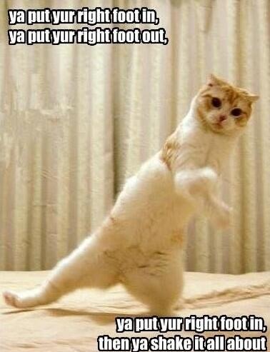 MinervaHandbags's tweet photo. Good morning! It's FFFFriday, yippee! #TGIF Let's all do the Friday dance :) http://t.co/1ZSiarigc9