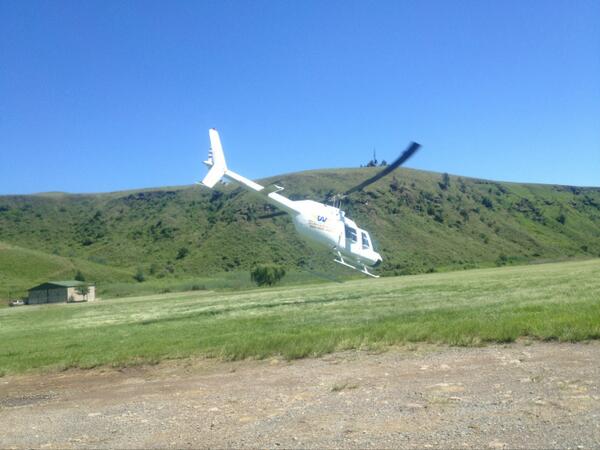 bergflying tweet picture