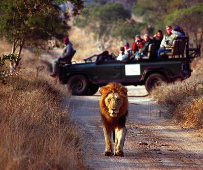 Harvey_World's tweet photo. Has anyone experienced the South African Safari? What's your favourite? http://t.co/oQW8rwCAR1
