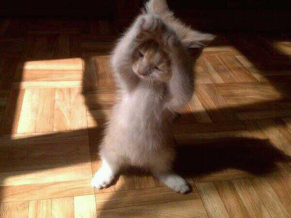 susanj306 tweet picture