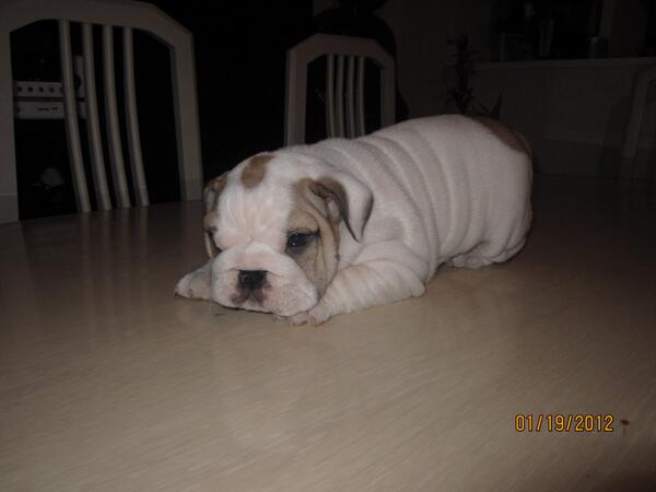 xamako777's tweet photo. Mi peque de pequeña http://t.co/Dr96Wqx3Ch