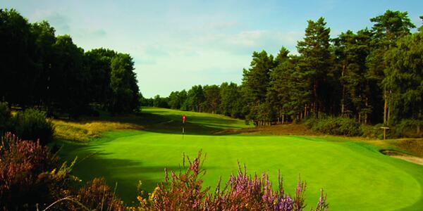 golfshake's tweet photo. What an amazing place! Feature Review of Sunningdale Golf Club >> http://t.co/cotDqR5e3q Photo ©GolfPhotoStore http://t.co/ajsoKhmSsB
