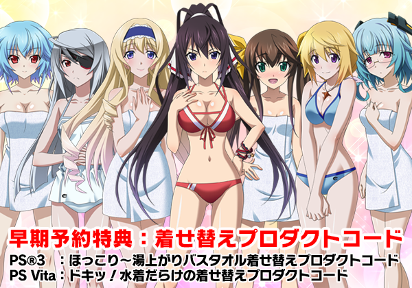 IS インフィニットストラトス 3D水着キャラクターアートボード IS