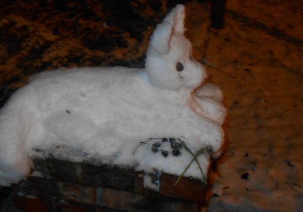 View image on Twitter