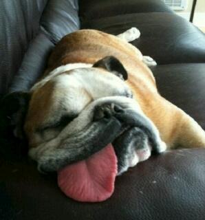 _aNa_Lopez_'s tweet photo. Gran nocheee!!! #marketing y una buena resaquilla tambien... http://t.co/olBfpUy5d1