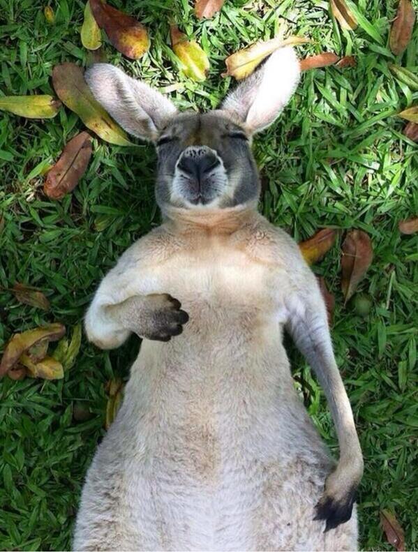 goddbyepeople's tweet photo. All is good. Haha http://t.co/gpLMSSGB7g