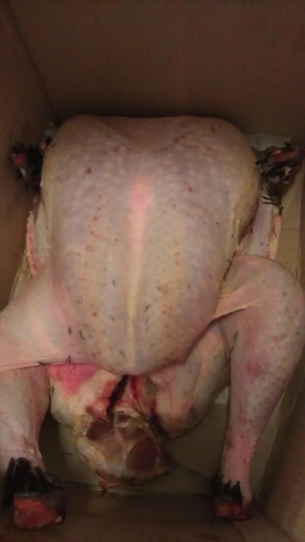 Fantastic Turkeys from <a href="/StBridesPoultry/">St Brides Poultry</a> great guest feedback again this year, quality produce.