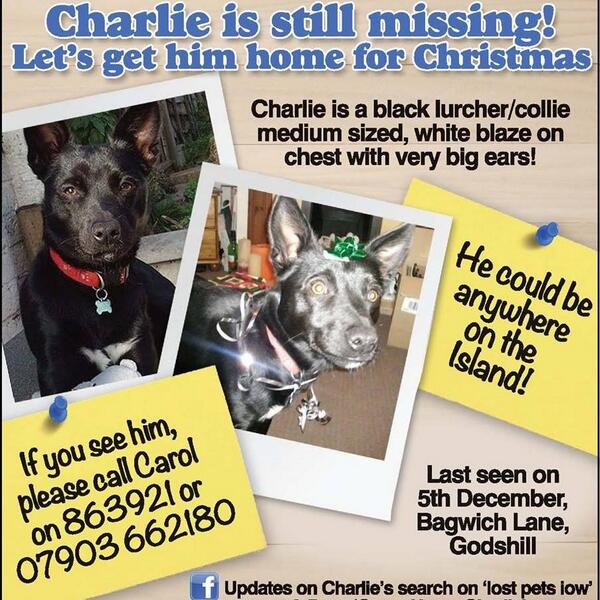 ComeHomeCharlie tweet media