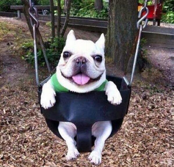 TalkBarbie's tweet photo. Here's a good start to everyone's day. Your welcome. http://t.co/kZudoFTdr1