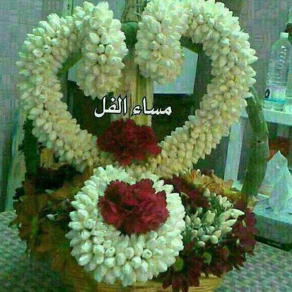 yahyam431's tweet photo. @53333B يامساءالفل http://t.co/bFADL0DdRJ