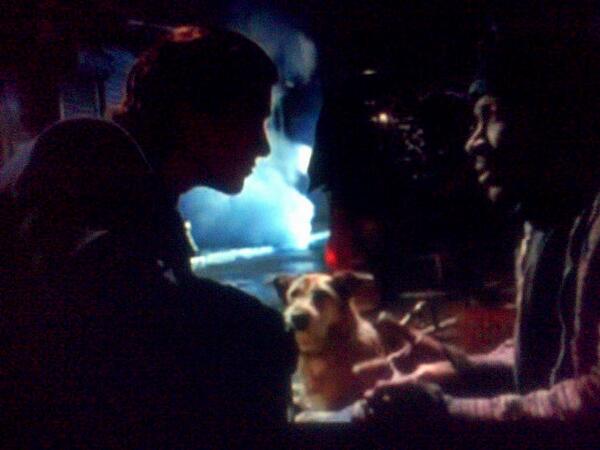 PatrickBaleman's tweet image. Ya know Al, you stink, I mean you reek of shit!