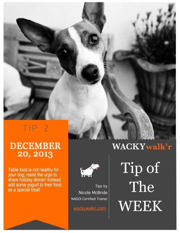 Table food isn't healthy dogs; resist sharing holiday dinner! Instead add yogurt to their food as a special treat!