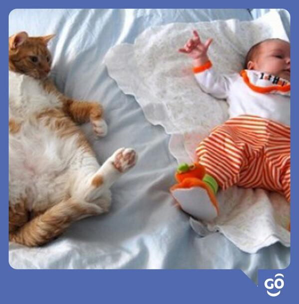 TigoParaguay's tweet photo. Encontrá la diferencia :D #SmilePoint http://t.co/ZQhrisdCP2
