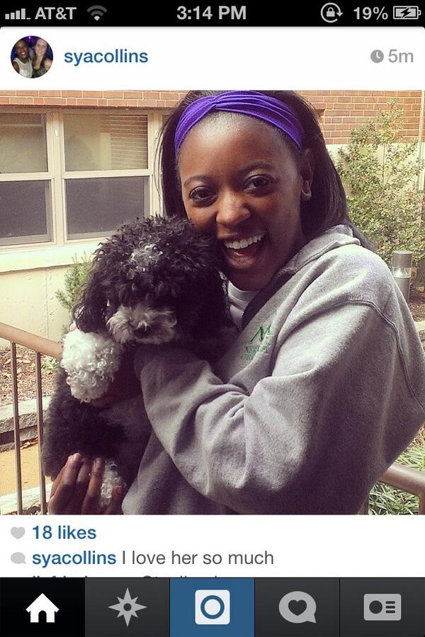 my puppy is insta famous 💁 #BringYourDogToSchool @da_muhSYA