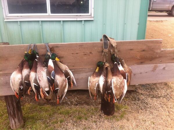 WGlaus's tweet photo. @cnyoung3 @csrice1s scratching a few out http://t.co/czcMsiSQq2
