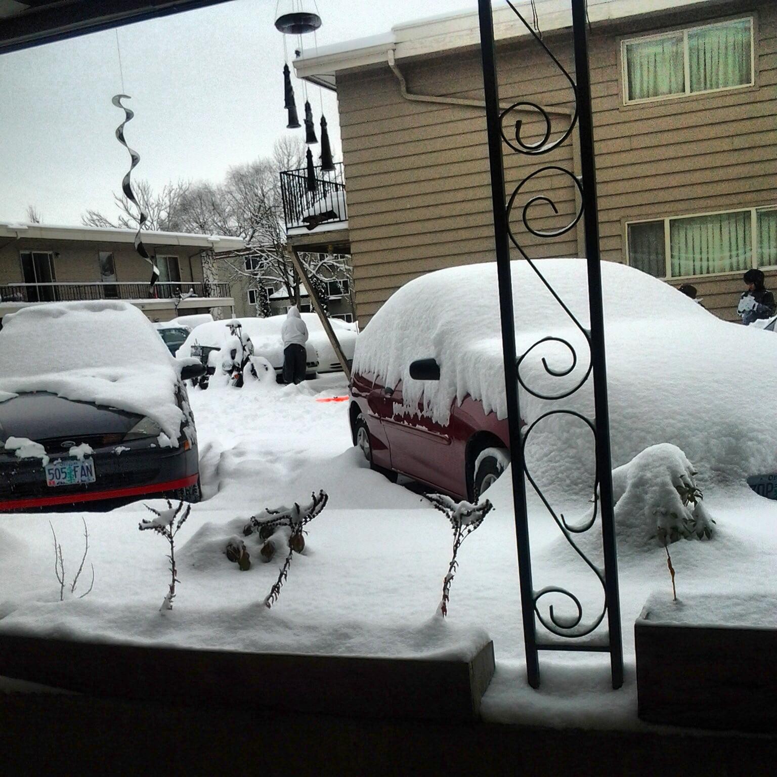 @AnneMookalou this is how much snow I have at my house!! http://t.co/YTpyGd0VMJ
