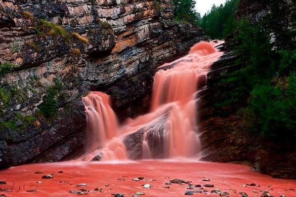 WorldPicture_MF's tweet photo. Cameron Falls (Canadá) http://t.co/ofSOSdQMTL
