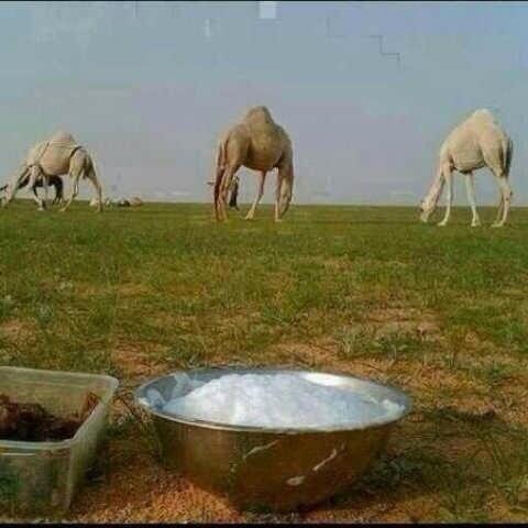 عطاالله ابوفيصل (@abofaisl123) on Twitter photo 