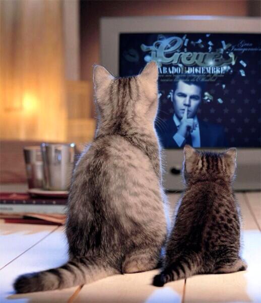 Buenos Días Creme de la Creme !!! Ya queda menos!!!
#DesdeMadrid #OpeningCremé