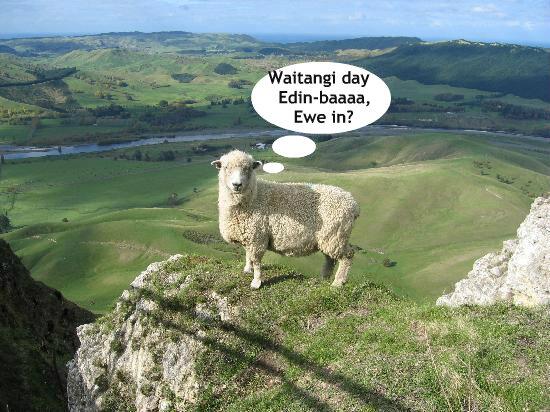 tartanwaitangi's tweet photo. Going, Going but not quite all gone... https://t.co/N9laGKlRgG £10 a ticket. Tell everyone you hear with a kiwi twang http://t.co/aMJpk97m7R