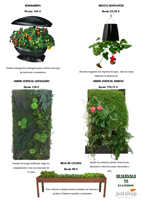 PotShopGC's tweet image. ¿Quieres hacer un regalo diferente estas navidades ? En Pot Shop lo tenemos.