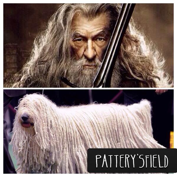 patto_Ben93's tweet image. ยอมรับมาเหอะว่าเหมือน~ ฮรือ #TheHobbit  #moddog