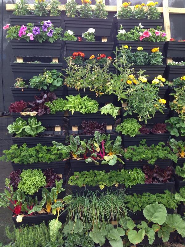 New vertical garden coming along very nicely