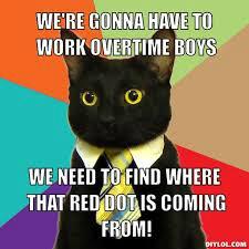 beechcroft cat hotel