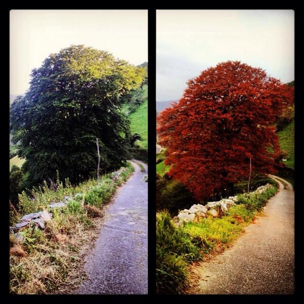 Centenas de años guardando el paraiso @AsturGuardianes