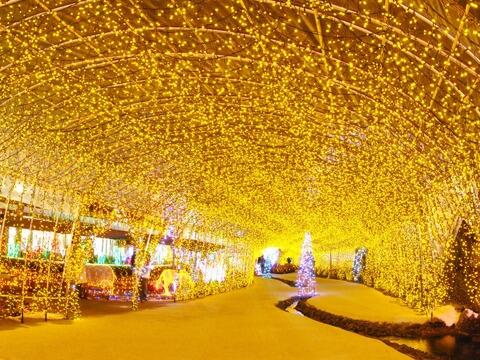 クリスマス イルミネーション人気スポット 阿蘇ファームランド イルミネーション 熊本県 阿蘇郡南阿蘇 クリスマスイルミネーション T Co O28giscxwe