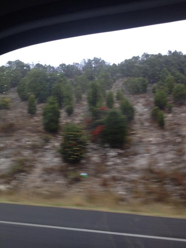 Apollo11L1's tweet image. Love all the pretty Christmas trees in 360...