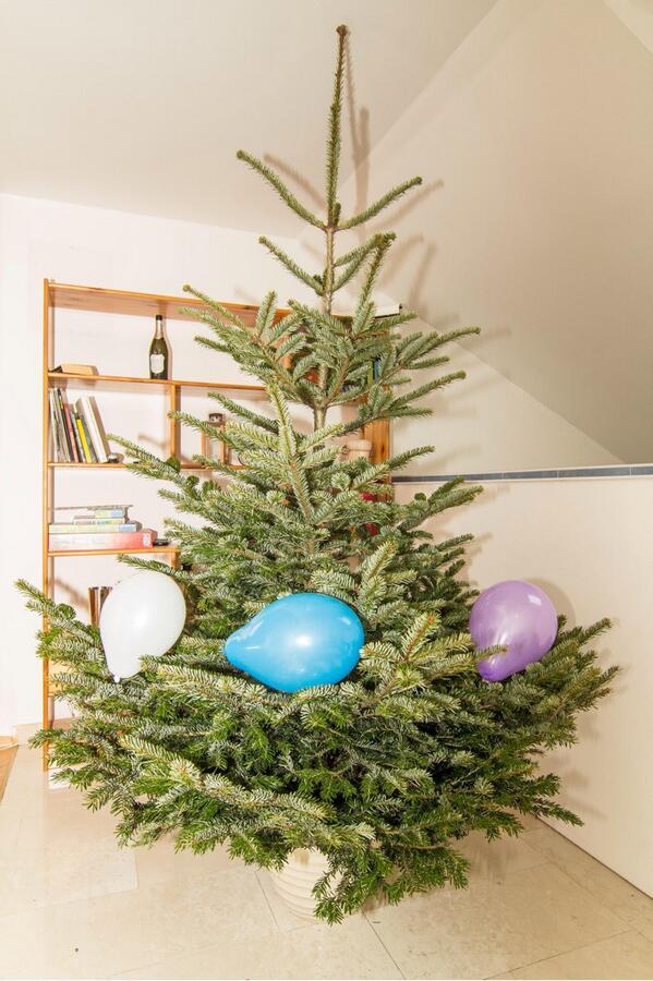 vladimiriga's tweet photo. I love the smell of Chrismas tree, it creates that special feeling. I just need some help with drcoration part. http://t.co/pkCTvqCgSD