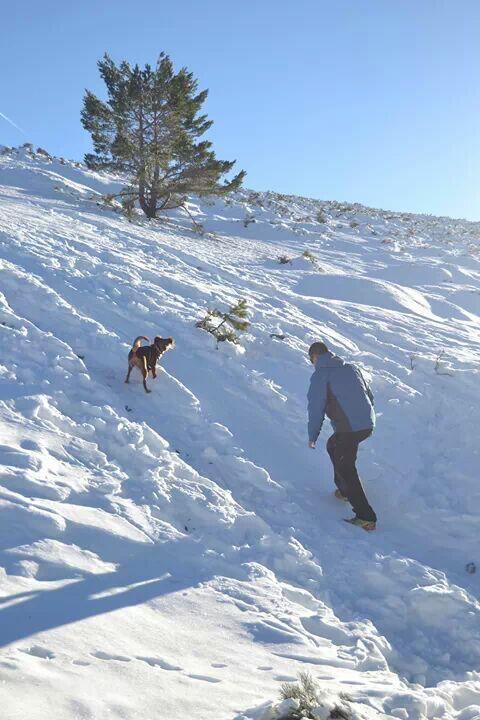 Rebeca16_89's tweet photo. Dia de nieve @jaimevespa200 http://t.co/XNT5TyIpco