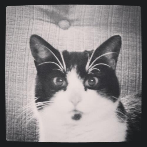 Adieu, <a href="/MmeMicina/">Micina</a>.