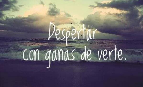 Tailoviu ♔ tweet media