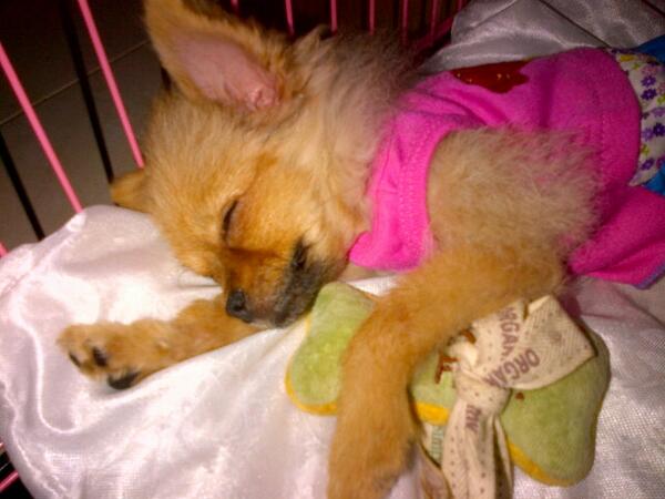 RT <a href="/VinnieXavier_/">Vinnie Xavier</a>: Sleep wellZzz...