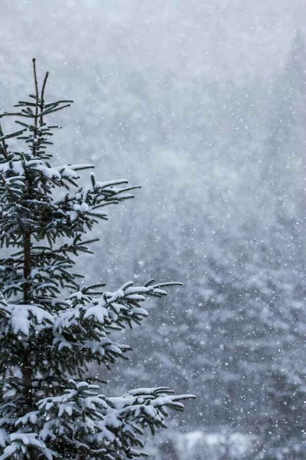 Everyone please be safe on the road, it's still icy here in #Dallas!