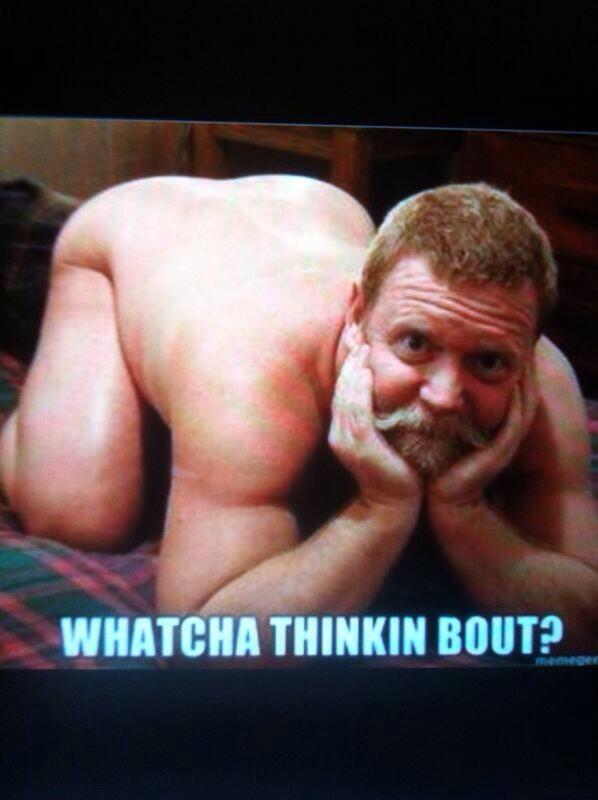 nikita doyle tweet media