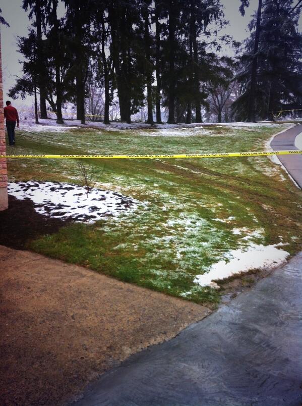 t_lockhart32's tweet image. Beware of falling branches 😂 #cuproblems