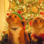 Photo by Santa Claus (@TextSanta)