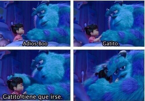 Cami_MJ15's tweet photo. Gatito♥ http://t.co/SXsn13oF73