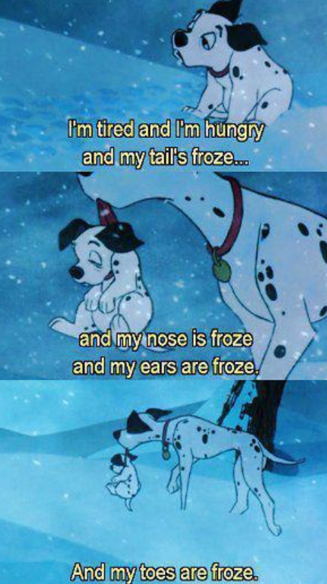 rjacobson94's tweet image. Every day life at UND #UNDproblems