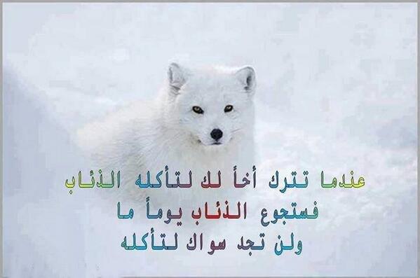 plmk11223357's tweet photo. http://t.co/qNzjNdY7H9