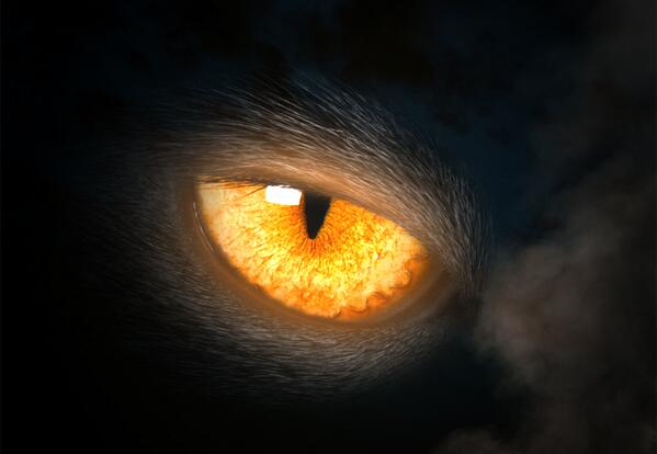 Pointé Records tweet media