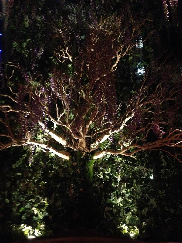 backbarny's tweet photo. Opening this week. http://t.co/a0lnuJiwp7